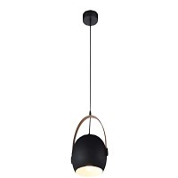 Indoor-007 hanging light