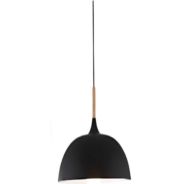 Indoor-009 hanging light