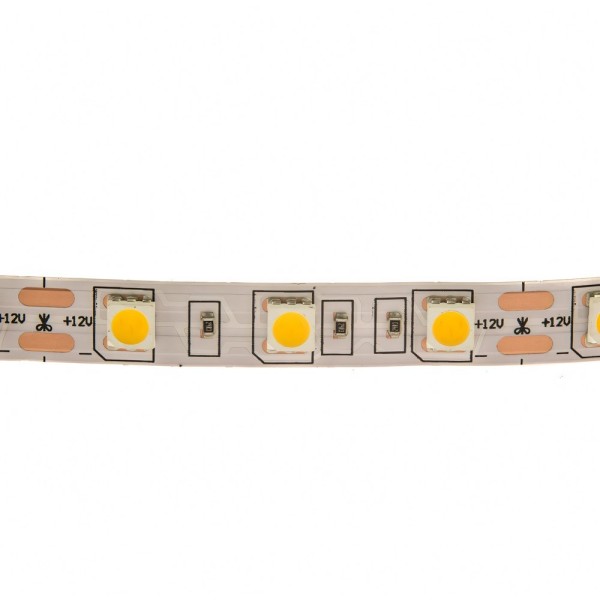 LED strip 12W DW IP20 5m