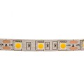 LED strip 12W DW IP20 5m