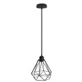 Indoor-137 hanging light