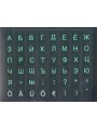 Defender KL_black-green-mini