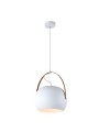 Indoor-008 hanging light