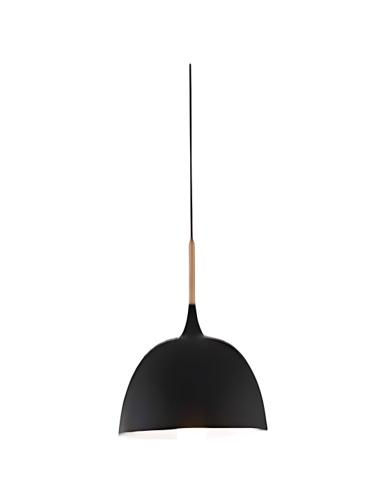 Indoor-009 hanging light