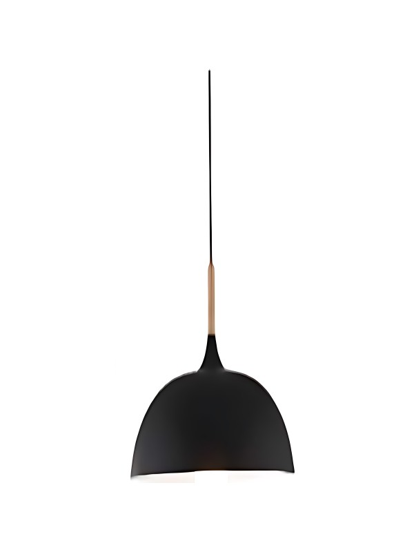 Indoor-009 hanging light Indoor-009 hanging light