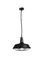 Indoor-024 hanging light