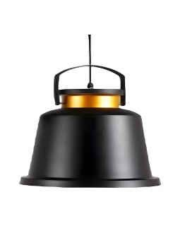 Indoor-028 hanging light