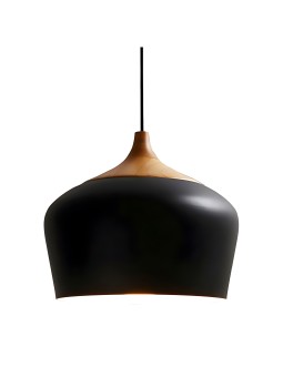 Indoor-032 hanging light