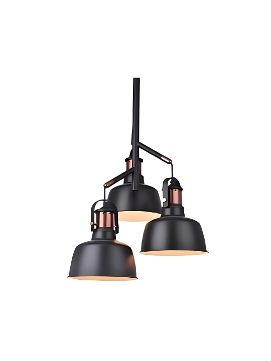 Indoor-048 hanging light