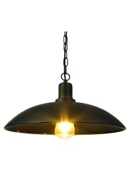 Indoor-060 hanging light
