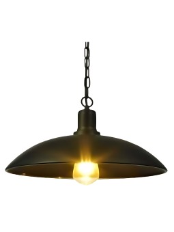 Indoor-060 riippuvalaisin