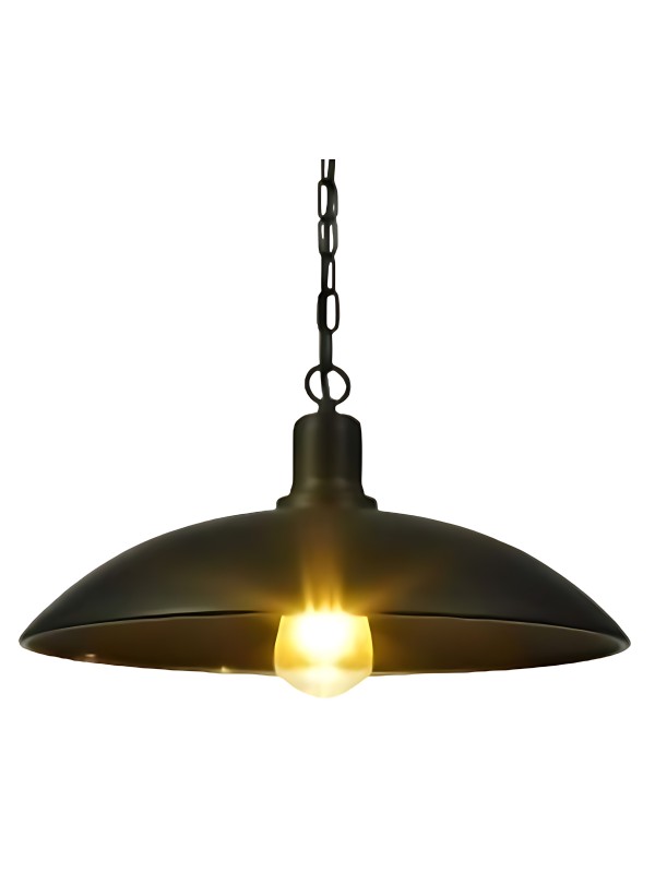 Indoor-060 hanging light Indoor-060 hanging light