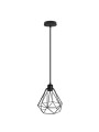 Indoor-137 hanging light