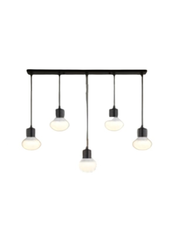 Indoor-129 hanging light Indoor-129 hanging light