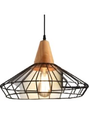 Indoor-110 hanging light