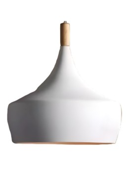 Indoor-106 hanging light