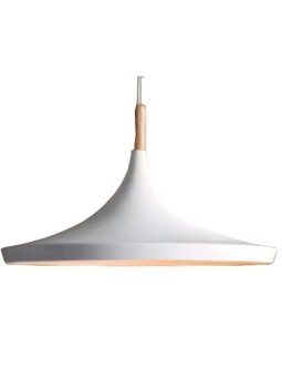 Indoor-105 hanging light