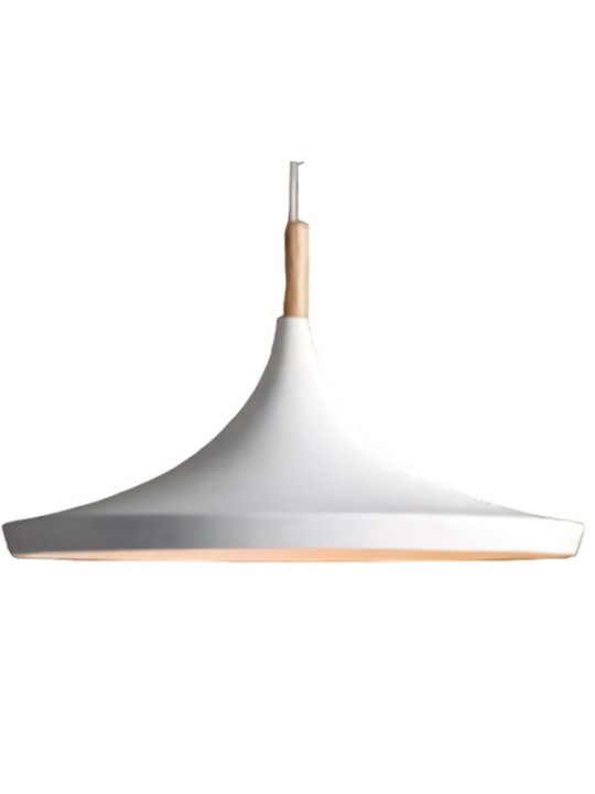 Indoor-105 hanging light
