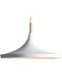 Indoor-105 hanging light