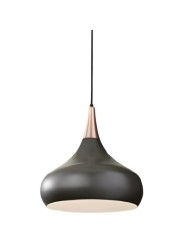 Indoor-089 hanging light