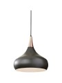 Indoor-089 hanging light