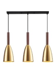 Indoor-081 hanging light