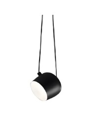 Indoor-072 hanging light