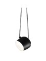 Indoor-072 hanging light