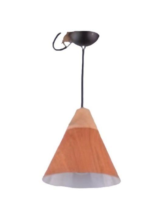 Indoor-070 hanging light