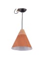 Indoor-070 hanging light