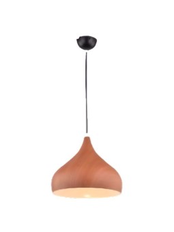 Indoor-069 riippuvalaisin