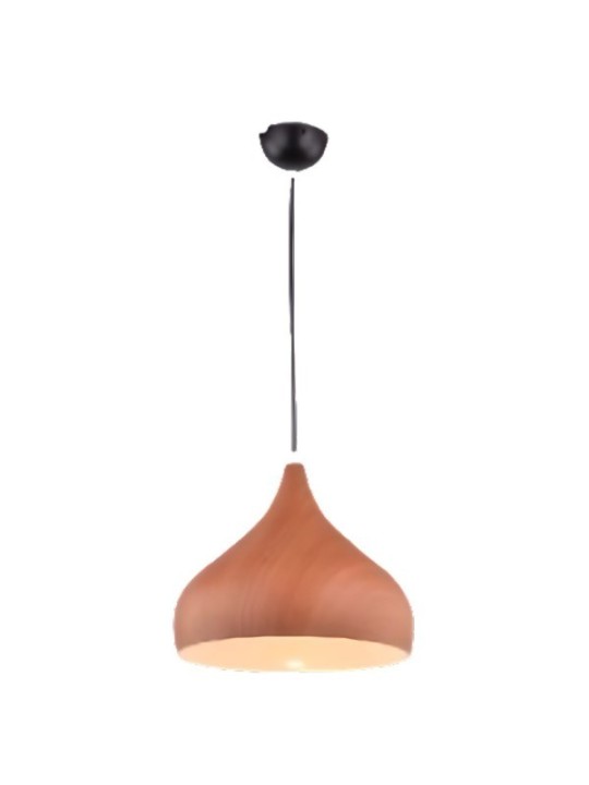 Indoor-069 hanging light