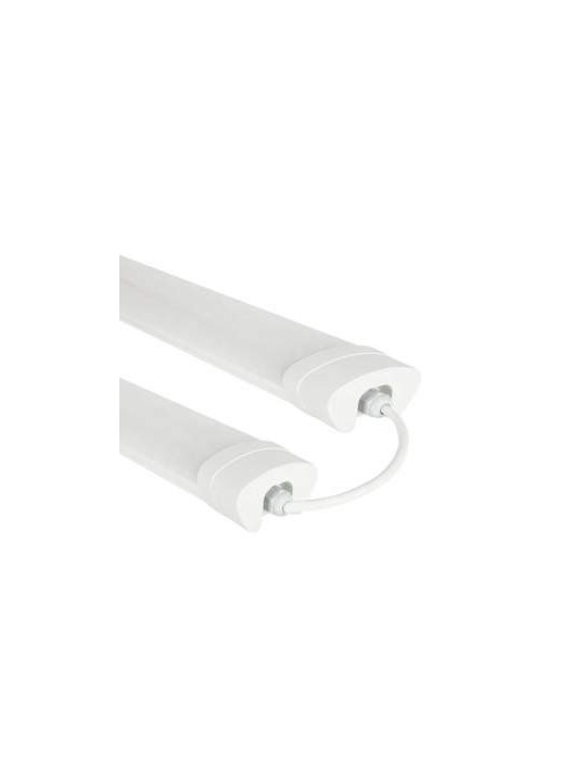 Triproof-005/line valaisin 80W 12000lm DW EUROBELEUCHTUNG, minimum - 10 vnt./units